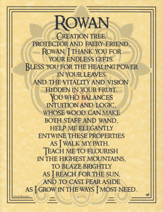 Rowan